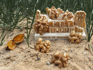 Walnut. Seashell. Green grass. Statuette. Nature. Abstraction.