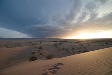 sunset in the desert 