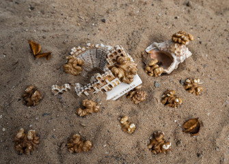 Statuette and walnuts on the sand. Shell on the sand.