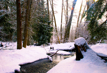 River Winter