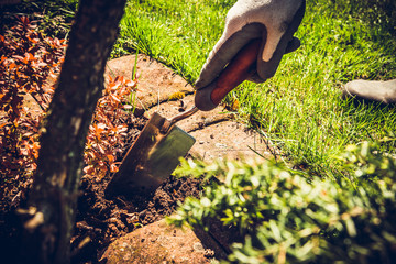 Digging in the garden. The concept of caring for the garden, the beauty of the garden. Allotment season. Support for work in the garden. Removing grass from the soil.