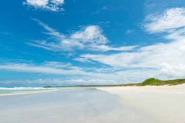 Fototapeta na wymiar Tortuga beach with sand dunes on Santa Cruz Island, Galapagos national park, Ecuador.