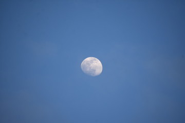  We ran as if to meet the moon.