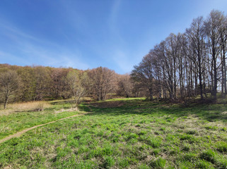 Spring landscape of Vitosha Mountain, Bulgaria