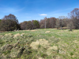 Spring landscape of Vitosha Mountain, Bulgaria