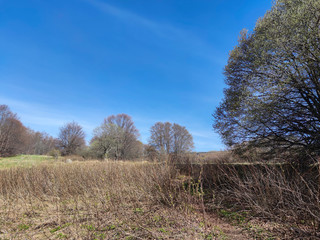 Spring landscape of Vitosha Mountain, Bulgaria