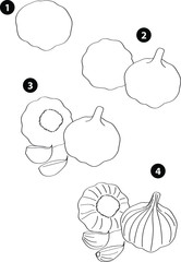 Drawing learn step by step tutorial techniques plants set with vegetables fruits flowers trees vegetation for kids workbook isolated background. Vector illustration garlic