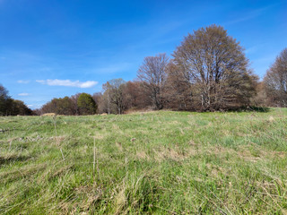 Spring landscape of Vitosha Mountain, Bulgaria