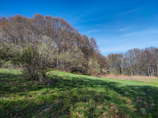 Spring landscape of Vitosha Mountain, Bulgaria