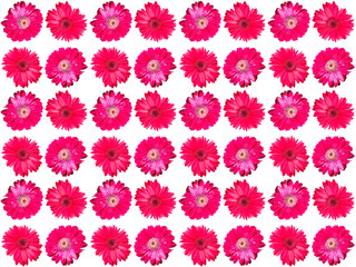 Flowers pattern texture. Floral pattern. Pattern of flowers.