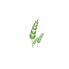 Leaf Logo Template vector symbol