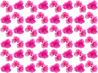 Flowers pattern texture. Floral pattern. Pattern of flowers.