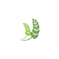 Leaf Logo Template vector symbol