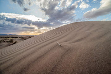 Sunset ove the desert 