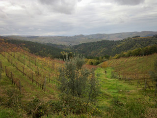 Chianti, is a rural region of Tuscany in the provinces of Florence, Siena and Arezzo, composed mainly of hills and mountains. It is known worldwide for the wine produced in and named for the region.