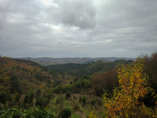 Naklejka premium Chianti, is a rural region of Tuscany in the provinces of Florence, Siena and Arezzo, composed mainly of hills and mountains. It is known worldwide for the wine produced in and named for the region.