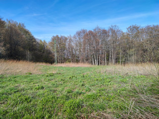 Obraz premium Spring landscape of Vitosha Mountain, Bulgaria
