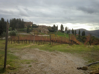 Chianti, is a rural region of Tuscany in the provinces of Florence, Siena and Arezzo, composed mainly of hills and mountains. It is known worldwide for the wine produced in and named for the region.