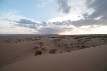 Fototapeta na wymiar Sunset ove the desert 