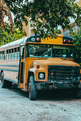 tropical vintage classic school bus
