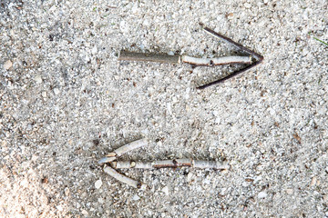Wooden stick arrow sign at forest white gravel stone path. Scavenger hunt game. Nature way finding concept. Woodlands playground ecology background