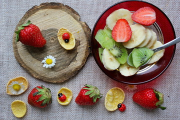 muesli with fruit and berries