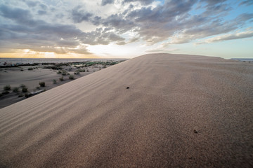 Sunset ove the desert 