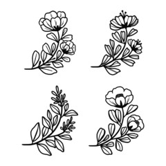hand drawn realistic botanical herbs, flowers, branch, and leaf logo element collection