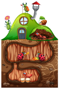 Scene with insects in the underground hole