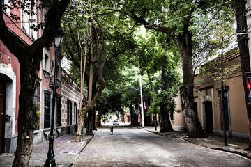 Covid 19 Ciudad de M&eacute;xico