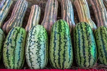 Pumpkins and watermelons sale on market in Brazil