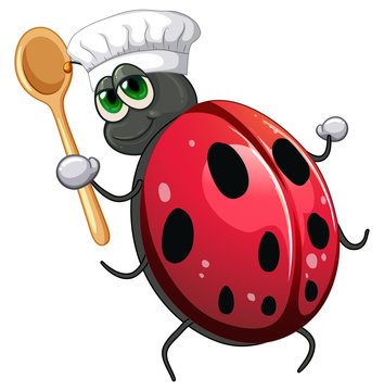 Ladybug chef cartoon character