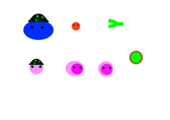 immune system components 