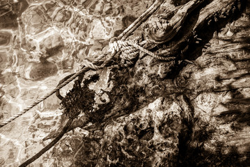 Close up of clear water of a mexica cenote, black and white, chord