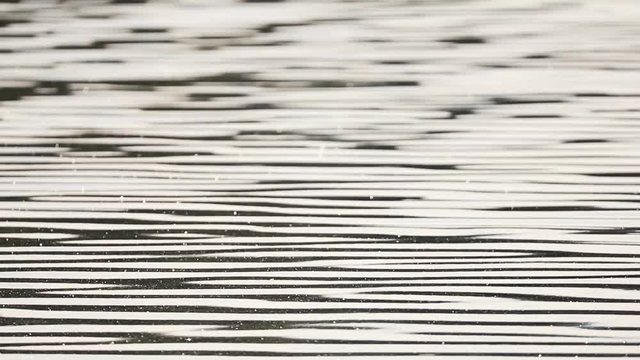 abstract water surface and sound of frogs and lake wildlife