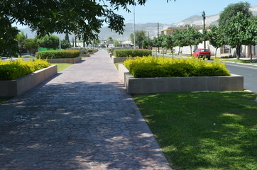 camino