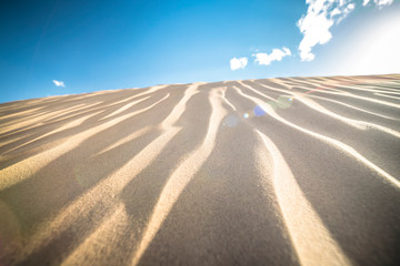 Fototapeta premium sand dunes and sky