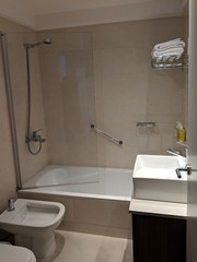Modern interior bathroom with bathtub, bidet and sink