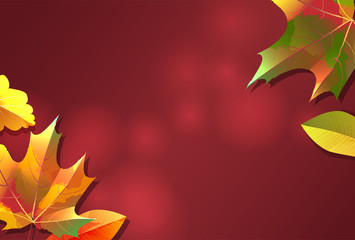 Red background with autumn leaves of maple, alder and oak. Vector image. EPS 10