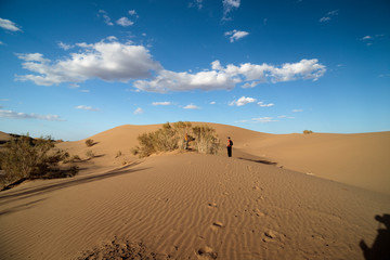 Fototapeta na wymiar sand dunes and sky