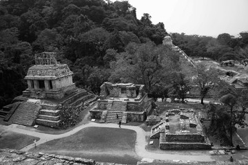 Palenque, Chiapas / Mexico - April 14 2011
black and white panoramic shot of archeological mayan site