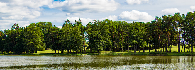 A pond among green trees. Summer sunny landscape