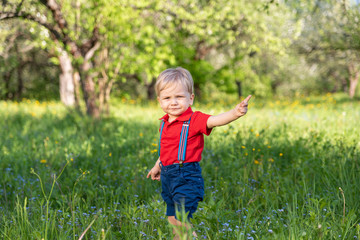 smart little boy walks in the park among the trees