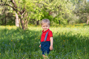 smart little boy walks in the park among the trees