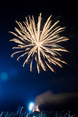 Colorful fireworks in the sky on a festive night. Vertical photo