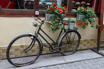 Old black bike near the cosy cafe with red and orange flowers