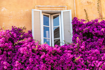 Fototapeta na wymiar window with flowers - ROME - ITALY
