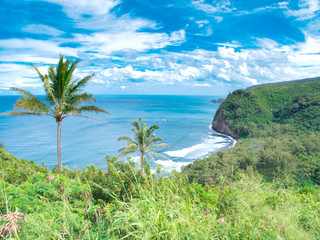 ポロル渓谷展望台からの景色　　ハワイ島　2014年撮影