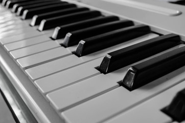 white piano black