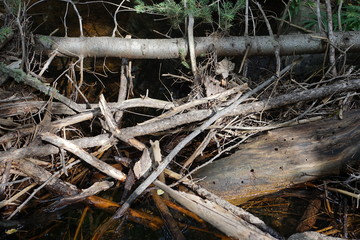 river